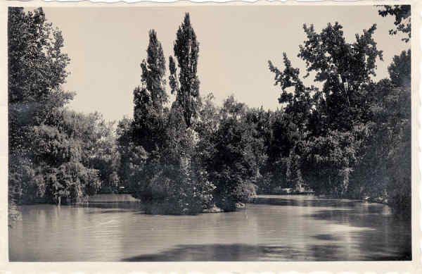 SN - CURIA - Portugal - Vista do Lago - Ed Junta de Turismo, Curia -  13,9x9,0 cm - Circ. 9/1948 - Col. A. Simes (185-1).