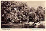 SN - A CURIA, espera - o... Chores  beira do lago plantados - Dim 14,2x9,8 cm - Circ. 8/1950 - Col. A. Simes (187).