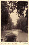 SN - Portugal - Curia Parque. Lago. A Ponte - Ed. Grande Hotel da Curia - SD - Dim.14,0x9,0 cm - Col. A. Simes (272).