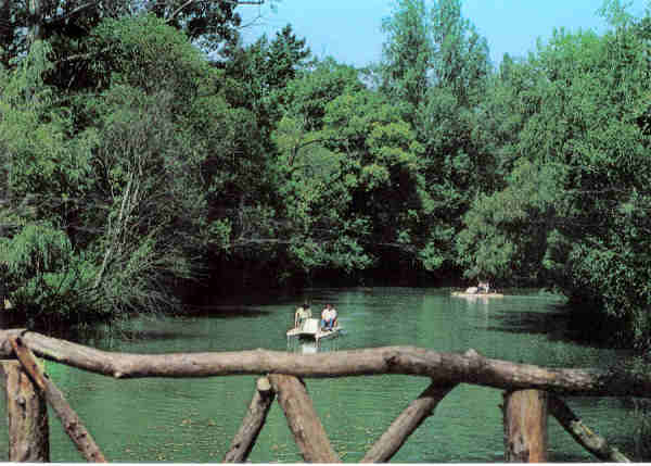 N 1 - CURIA - Portugal - Uma vista do lago - Ed.. Junta de Turismo da Curia - 15,x10,4 cm. - Circ 8/1982 - Col. A. Simes 1030.