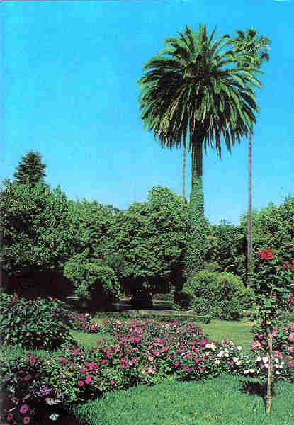 N 14 - CURIA - Portugal - Jardins do Parque - Ed. Junta de Turismo da Curia - 14,9,x10,4 cm. - Col. A. Simes 1039.