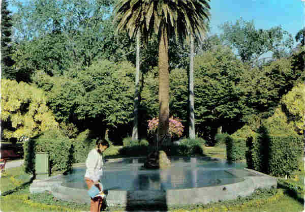 N 550 - CURIA - Pequeno lago e jardim - Ed. Portugal Turstico - 14,8x10,3 cm. - Circ. 11/1973 - Col. A. Simes 1094.