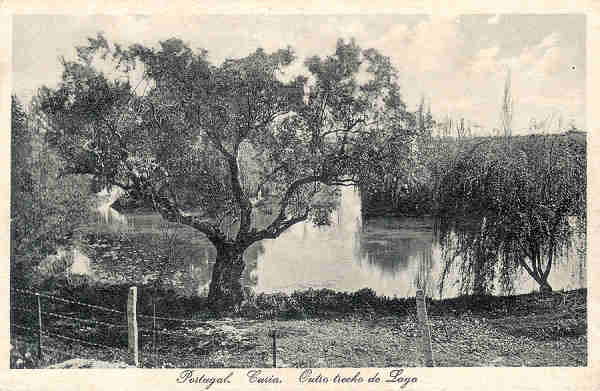 SN - Portugal. Curia. Outro trecho do Lago - Edicao do Bazar Soares - Porto - ( Foto Soares Leitao - Curia ) - Dim. 13,8x9,0 cm - Circul. 1928 - Col. A. Simes (159).