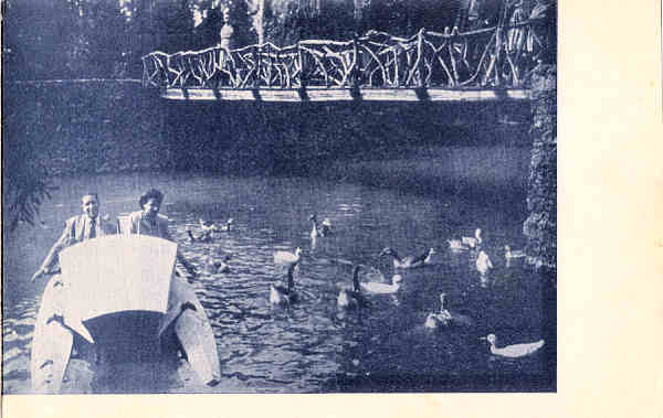 SN - CURIA - Uma ponte do Lago Gaivota e Patos - S. Edit. - Desdobravel 2x14.0x9.0 cm - Col. A. Simes (189)(face interior).
