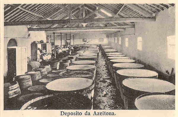 09 - Interior da Fbrica Brando Gomes & Ca - Deposito de Azeitona - Dim. 75x50 mm.- Col. Miguel Chaby.