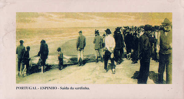 SN - Portugal. Espinho - Sada da sardinha - Editor Violeta Primorosa-Espinho - Dim. 7,7x14 cm - Col. Miguel Chaby