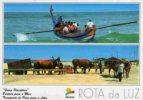 N 39 - ROTA DA LUZ - Faina Piscatria, Partida para o Mar.- Ed. Artes Grficas - Dim 15x10,5 cm. - Col. Mrio Silva.