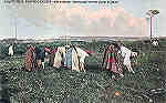 SN - Portugal Costumes Portugueses - Valadares. Cortando erva para o gado, 1917 - Editor Rodrigues, 23,Praa da Liberdade - Porto - Dim. 138x87 cm. - Col. M. Chaby