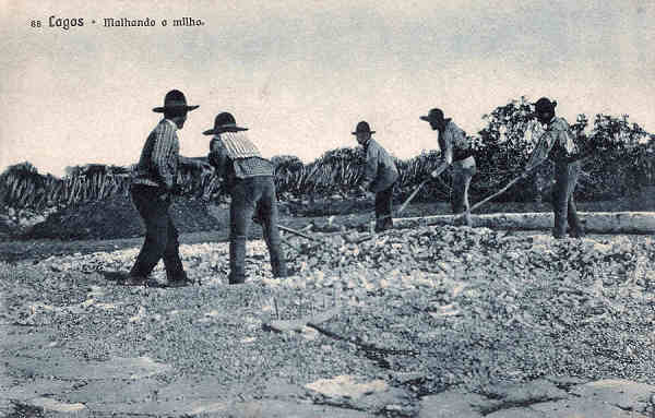 N 88 - Lagos. Malhando o milho - Edio e clich de Antnio C. dos Santos, Lagos - SD - Dim. 14x9 cm. - Col. M. Chaby (cerca de 1920)