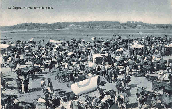 N 86 - Lagos. Uma feira de gado - Ed. e clichs de Antnio C. dos Santos, Lagos - SD - Dim. 140x90 cm - Col. M. Chaby.