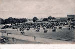 S/N - Uma feira, campo de gado bovino - Editor Joaquim Pedro Moreira, Mafra - Dim. 138x88 mm - Col. A. Monge da Silva (cerca de 1905)