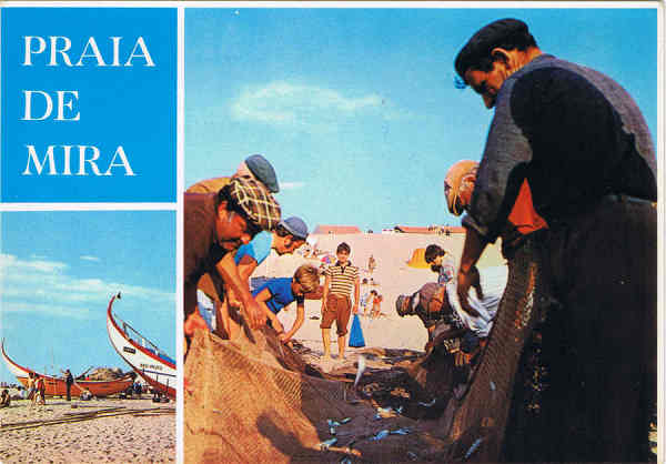 N. 1501 - Praia de Mira - Portugal  Recolha do Peixe - Ed. SUPERCOR Portugal Turstico Dist. por RAN-LISBOA, RUA DA QUINTINHA 70-B - SD - Dim. 15x10,5 cm - Col. Ftima Bia (1978).