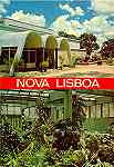 N. 36 - NOVA LISBOA Angola Estufa Fria - Edio CMER, Trav.do Alecrim 1, Telf. 328775 Lisboa Portugal - S/D - Dimenses: 10,3x15 cm. - Col. Manuel Bia (1973).