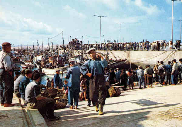 N. 423 - PENICHE-Portugal Pescadores desembarcando peixe - ColecoA. Passaporte "LOTY" (Visado nos termos do decreto 34.134) - S/D - Dimenses: 14,8x10,5 cm. - Col. HJCO (1970)