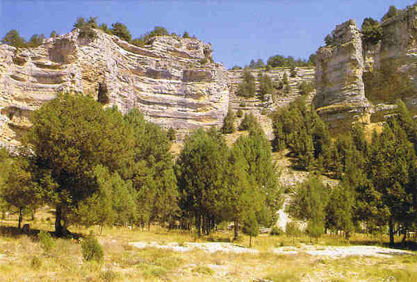 N. 316 SORIA. Formaciones rocosas. Caon del Rio Lobos. - Ed.PAPEL PILUCA - Tel. 915 001 882 - S/D Dim. 15x10,4 cm. - Col. Manuel Bia (2009).