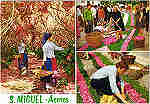 N.º 54 - S. MIGUEL - AÇORES Preparando tapetes de flores - Ed. da Comissão Regional de Turismo - Ponta Delgada LITO OF. ARTISTAS REUNIDOS-PORTO - S/D - Dim. 15,1x10,5 cm. - Col. Manuel Bóia (1981).