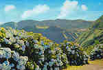 N.º 21 - S. MIGUEL (Açores) Montanhas das Sete Cidades - Ed. NÓBREGA,Lda 9500 PONTA DELGADA - S. MIGUEL - AÇORES LITO OF. ARTISTAS REUNIDOS-PORTO - S/D - Dim. 15x10,5 cm. - Col. Manuel Bóia (1981).