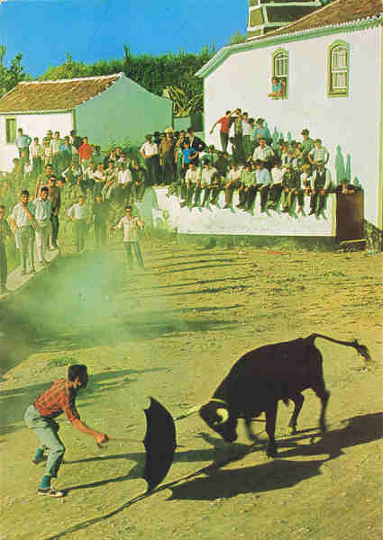 N.º 772 ILHA TERCEIRA - Açores Tourada à Corda - Ed. CÓMER - Trav. do Alecrim, 1 - Tel. 328775 - LISBOA - PORTUGAL - SD - Dim. 10,4x14,9 cm. - Col. Manuel Bóia (1981).