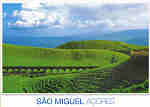 ISM-002 Aqueduto,Sete Cidades Ponta Delgada - São Miguel - Ed. Ver Açor, Lda. Nuno Sá Telf./Fax 296 684 926 Telm. 917 377310 veracor@veracor.pt www.veracor.pt - SD - Dim. 15x10,5 cm - Col. Fátima Manuela Bóia (2010).