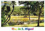 PVC-0017 - Parque «Terra Nostra» Lagoa-piscina quente de água termal FURNAS Ilha de S. Miguel AÇORES - Ed. VER AÇOR, Lda. veracor@az.netcabo.pt Ex.Gráf.ª ATLANTICPOST - Tel. 214342080 - atlanticpost@clix.pt - SD - Dim. 15,1x10,5 cm. - Col. Fátima Manuela Bóia (2010).