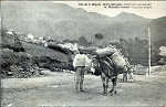 SN - SÃO MIGUEL, Costume camponez - Edição Novo Armazem dos Carreiros - Dim. 14x8,9 cm - Col. A. Monge da Silva (c. 1909)