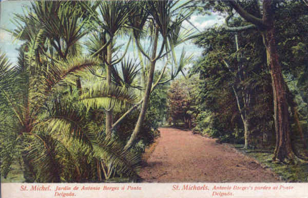 SN - SÃO MIGUEL. Ponta Delgada. Jardim António Borges (2) - Edição anónima - Dim. 13,8x8,9 cm - Col. A. Monge da Silva (cerca de 1910)