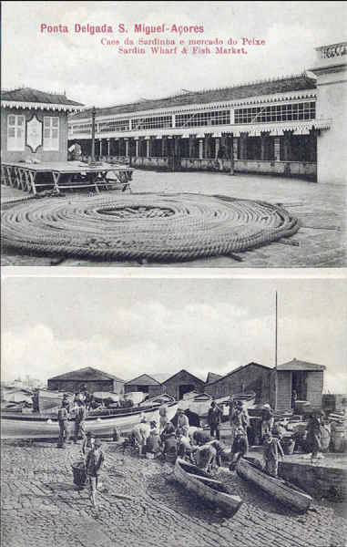 SN-S MIGUEL. Ponta Delgada. Caes da Sardinha e Mercado de Peixe - Edio Biscup & Stein, Hamburg - Dim. 13,8x8,8 cm - Col. A. Monge da Silva (cerca de 1908)