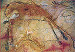 N 4 - Santilhana del Mar, Altamira, Cerva - Editor Patronato Cuevas prehistoricas de Santander - Adquirido em 1992 - Dim. 15,1x10,6 cm - Col. Amlcar Monge da Silva