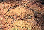 N 1155 - Cuevas de Altamira. Javali - Foto J. Adolfo,Torrelavega - Dim. 15,1x10,6 cm - Col. Amlcar Monge da Silva