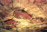 N 1156 - Cuevas de Altamira. Conjunto de Pinturas - Foto J. Adolfo,Torrelavega - Dim. 15,1x10,6 cm - Col. Amlcar Monge da Silva