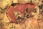 N 1160 - Cuevas de Altamira. Bisonte - Foto J. Adolfo,Torrelavega - Dim. 15,1x10,6 cm - Col. Amlcar Monge da Silva