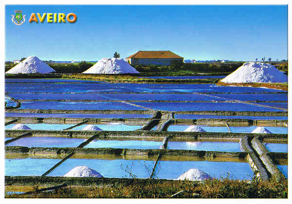 N 19 AVR - AVEIRO - Salinas - Costa de Prata - PORTUGAL - GRAFIPOST - Editores e Artes Grficas, Lda LOUL - 2006 - Dim. 15,1x10,5 cm. - Col. Ftima Bia.