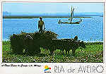 N. 25 - RIA DE AVEIRO A Dura Faina do Campo e do Molio - Ed. Artes Grficas - SD - Dim. 15x10,5 cm - Col. Mrio Silva.