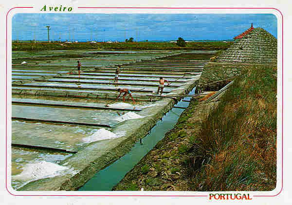 N. 32 - AVEIRO Preparao do sal - Ed. ncora - SD - Dim. 15x10,5 cm - Col. Mrio Silva.