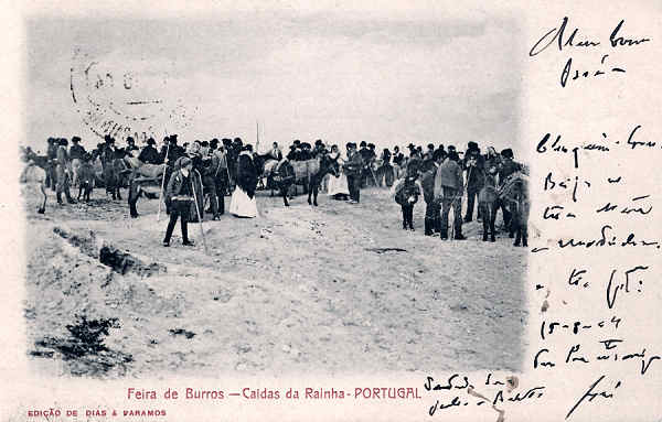 SN - Portugal Caldas da Rainha. Feira de burros - Editor Dias e Paramos - Editado 1904 - Dim. 9x14 cm. - Col. M.Chaby 