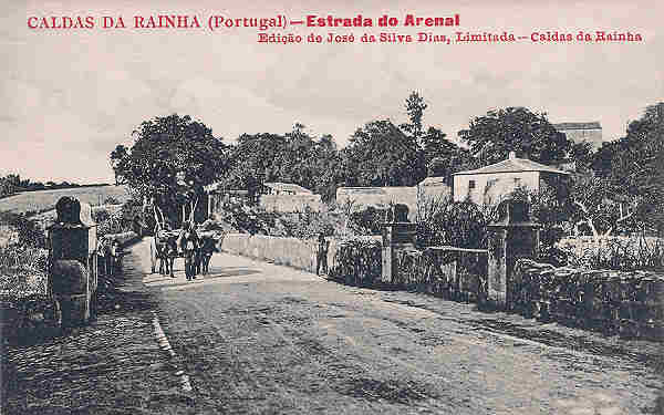 SN - Portugal. Caldas da Rainha. Estrada do Arenal - Editor Jos da Silva Dias - Editado em 1920 - Dim. 14x9 cm. - Col. M. Chaby