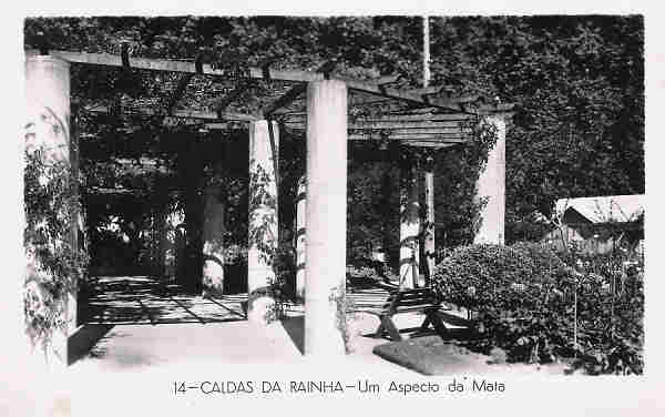 N 14 - Portugal. Caldas da Rainha. Um Aspecto da Mata - Coleco Dlia (Editado 1955) - Dim. 9x14 cm. - Col. M. Chaby