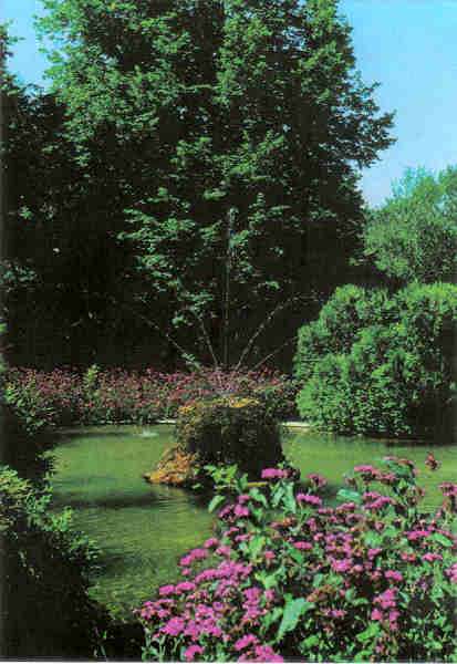 N 3 - CURIA - Portugal. Jardins do Parque - Ed. da Junta de Turismo da Curia - Dim. 15,0x10,4 cm. - Col. A. Simes 119