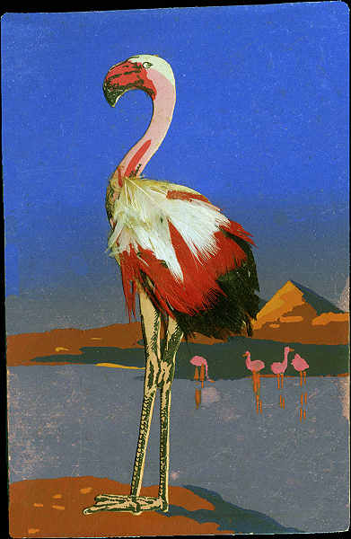 SN - Flamingo com penas verdadeiras - Editor WMB - Dim. 13,7x9 cm - Col. Amlcar Monge da Silva (cerca de 1910)
