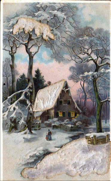 SN - Casa na Floresta - Edio annima alem - Circulado em 1911 - Dim. (14x8,7 cm - Col. Amlcar Monge da Silva