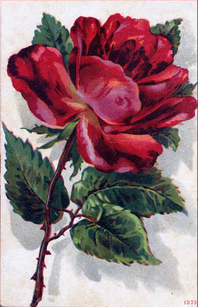 N 1379 - Rosa - Edio annima - Dim. 14,1x9 cm - Col. Amlcar Monge da Silva (c. 1910)