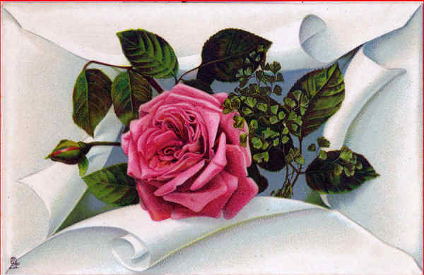 Serie 4149 - Choice Roses - Edio Raphael Truck & Sons, Inglaterra - Dim. 13,8x8,8 cm - Col. Amlcar Monge da Silva (cerca de 1920)