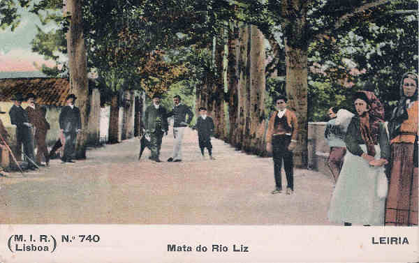 N. 740 - Portugal. Leiria - Mata do Rio Liz - Editor M.I.R., Lisboa (1910) - Dim. 9x14 cm. - Col. M. Chaby