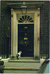 N. 37 - LONDON - 10 Downing Street - Ed. annima Photo: Tony Stone Worldwide 1986 - Dim. 10,5x15 cm - Col. Manuel Bia (1986).