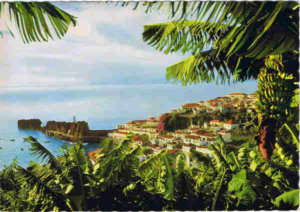 N. MD7 MADEIRA  Cmara de Lobos: aldeia piscatria - Ed. Hans Huber KG Agente no Funchal: F. Ribeiro, Rua Nova de S. Pedro, 27 telef. 23930 - SD - Dim. 14,9x10,4 cm - Col. Manuel e Ftima Bia (1975).