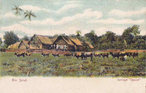 N 640 - Rio Juru, Seringal Japur - Dim. 14x8,9 cm - Edio Photographia Allem, Manos - Col. Amlcar Monge da Silva (cerca de 1900)