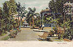 N 5030 - Manos, Jardim publico - Dim. 14x8,9 cm - Edio Photographia Allem, Manos - Col. Amlcar Monge da Silva (cerca de 1900)