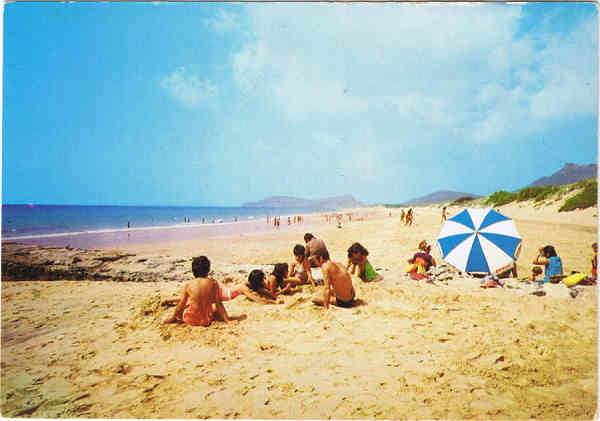 N 651 - PORTO SANTO Uma praia que se estende por 9 kms. - Ed. BERNARDINO V.G. CARVO APARTAMENTOS PIORNAIS-BLOCO 9-3.A - FUNCHAL LITO OF. ARTISTAS REUNIDOS-PORTO - SD - Dim. 15x10,5 cm - Col. Manuel Bia (1988).