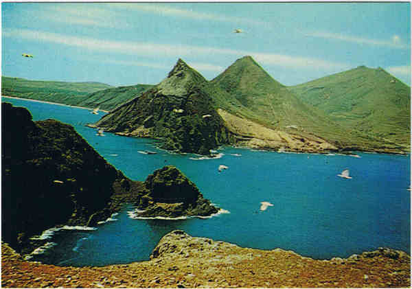 MD38 P - PORTO SANTO (Madeira) O Ilhu de Cima - Ed. Francisco Ribeiro - Rua Nova de S. Pedro, 27 telef. 23930 FUNCHAL-MADEIRA - SD - Dim. 14,8x10,3 cm - Col. Manuel Bia (1988).