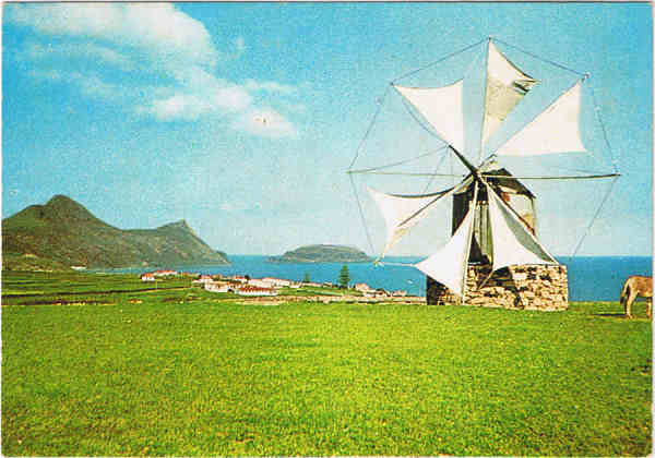 N. MD 71 - PORTO SANTO (Madeira)  Um monho de vento - Ed. Francisco Ribeiro-Rua Nova de S. Pedro,27 telef.23930 FUNCHAL-MADEIRA GM MILANO - SD - Dim. 14,7x10,3 cm - Col. Manuel Bia (1997).